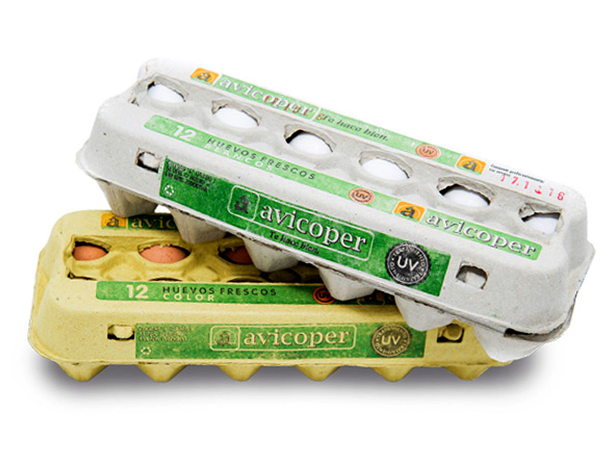Avicoper Tradicionales