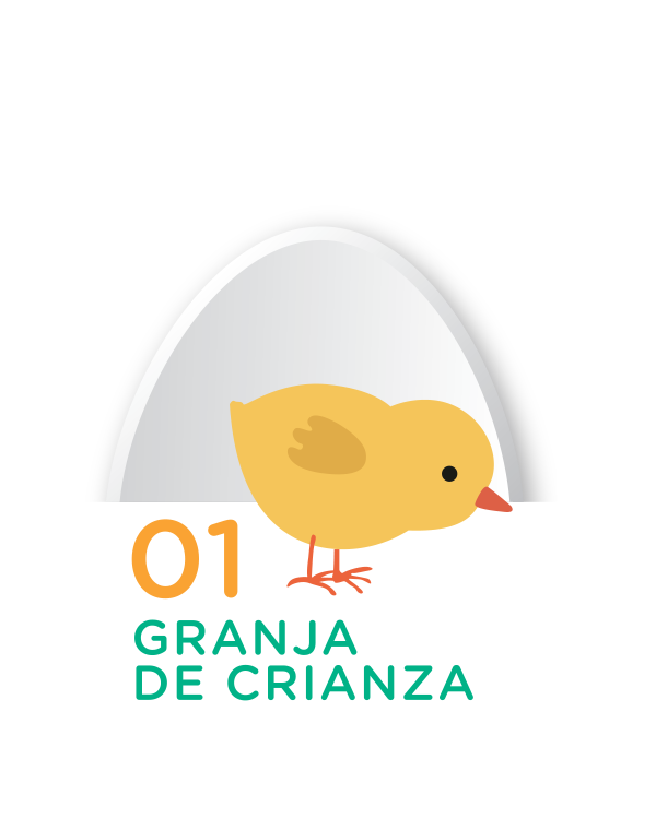 Granja de Crianza