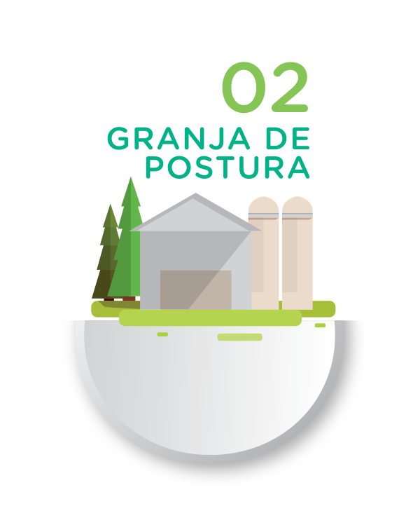 Granja de Postura