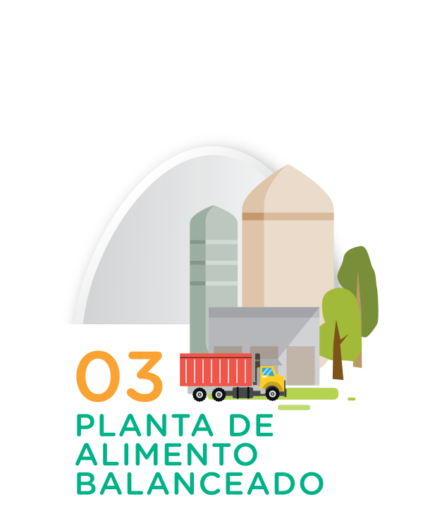 Planta de Alimento Balanceado