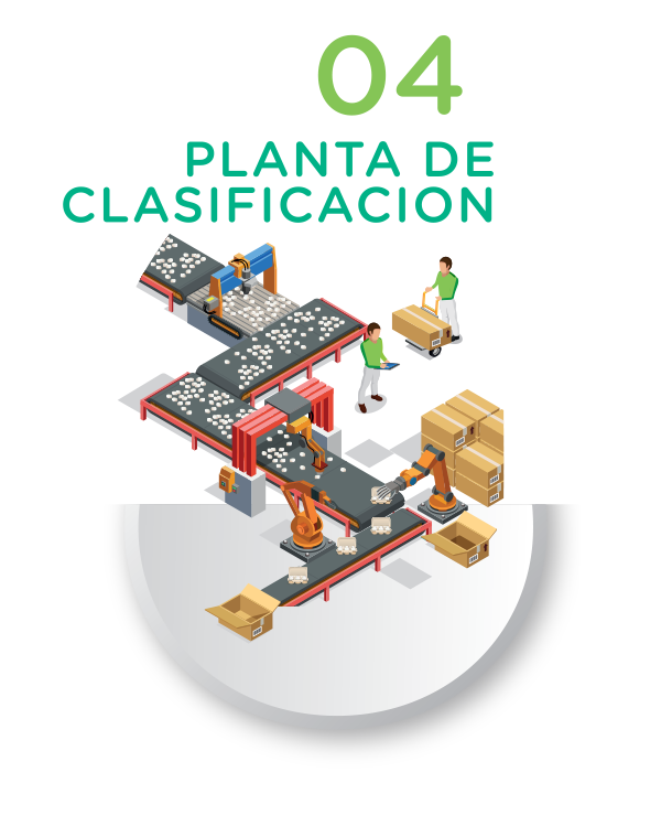Planta de Clasificación