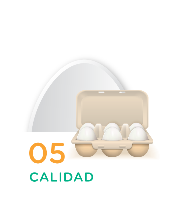 Control de Calidad